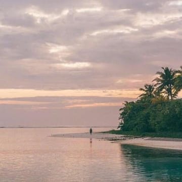 Ảnh đại diện Nguyễn Lan